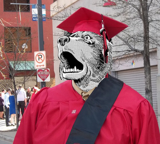 Illustration for article titled Bear Graduates from University in America